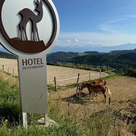 Bergchalet Mit Panoramablick Diex