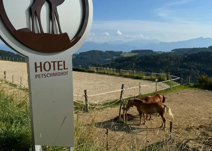 Bergchalet Mit Panoramablick Diex