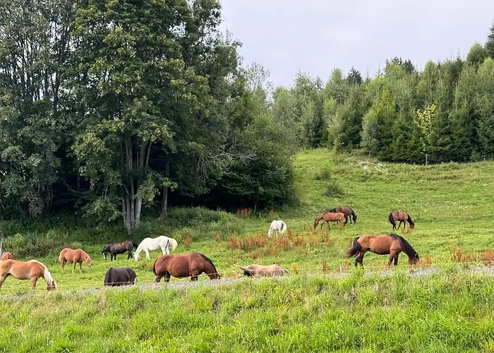 Bergchalet Mit Panoramablick * Diex